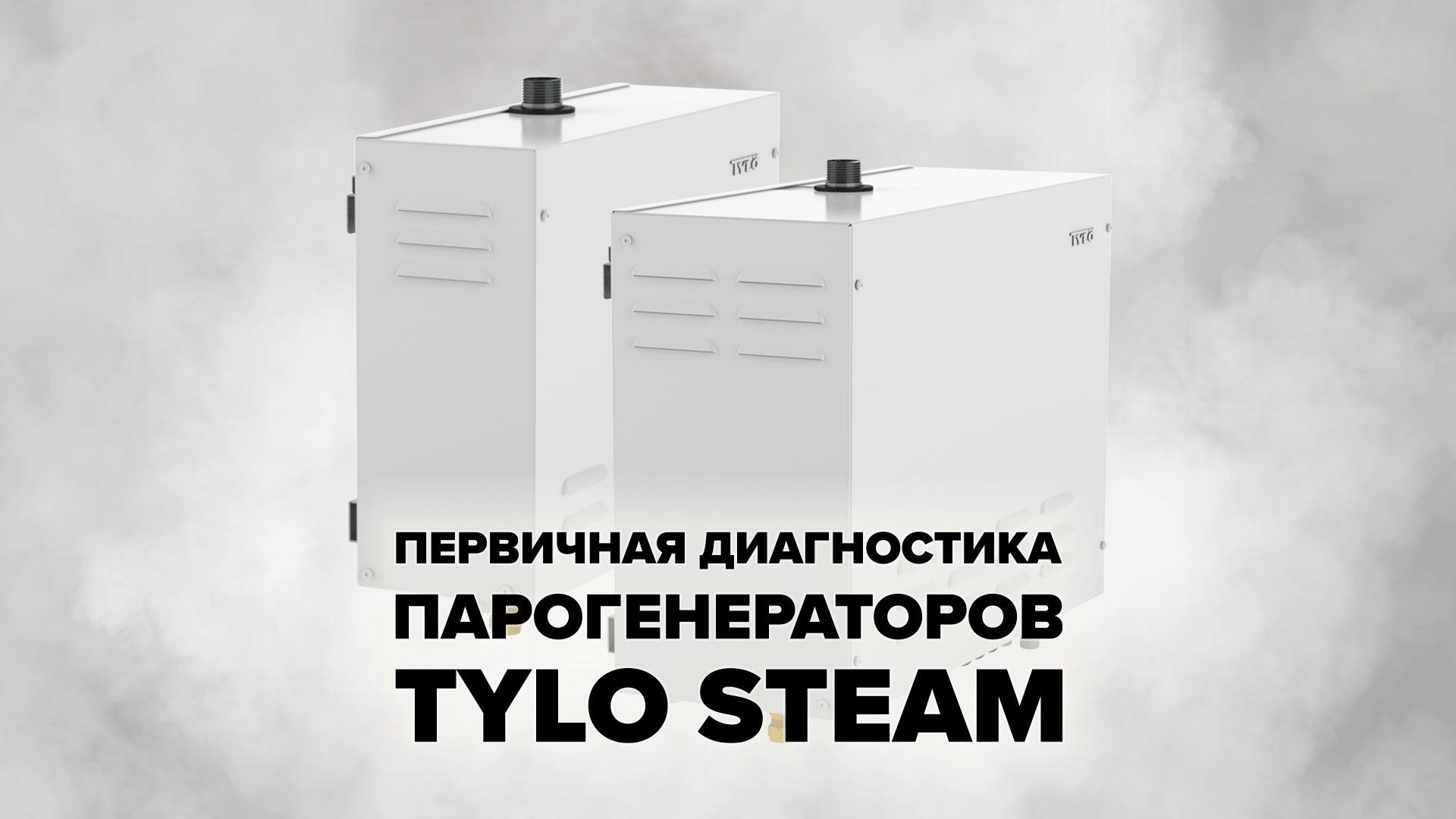 Первичная диагностика парогенераторов Tylo Steam